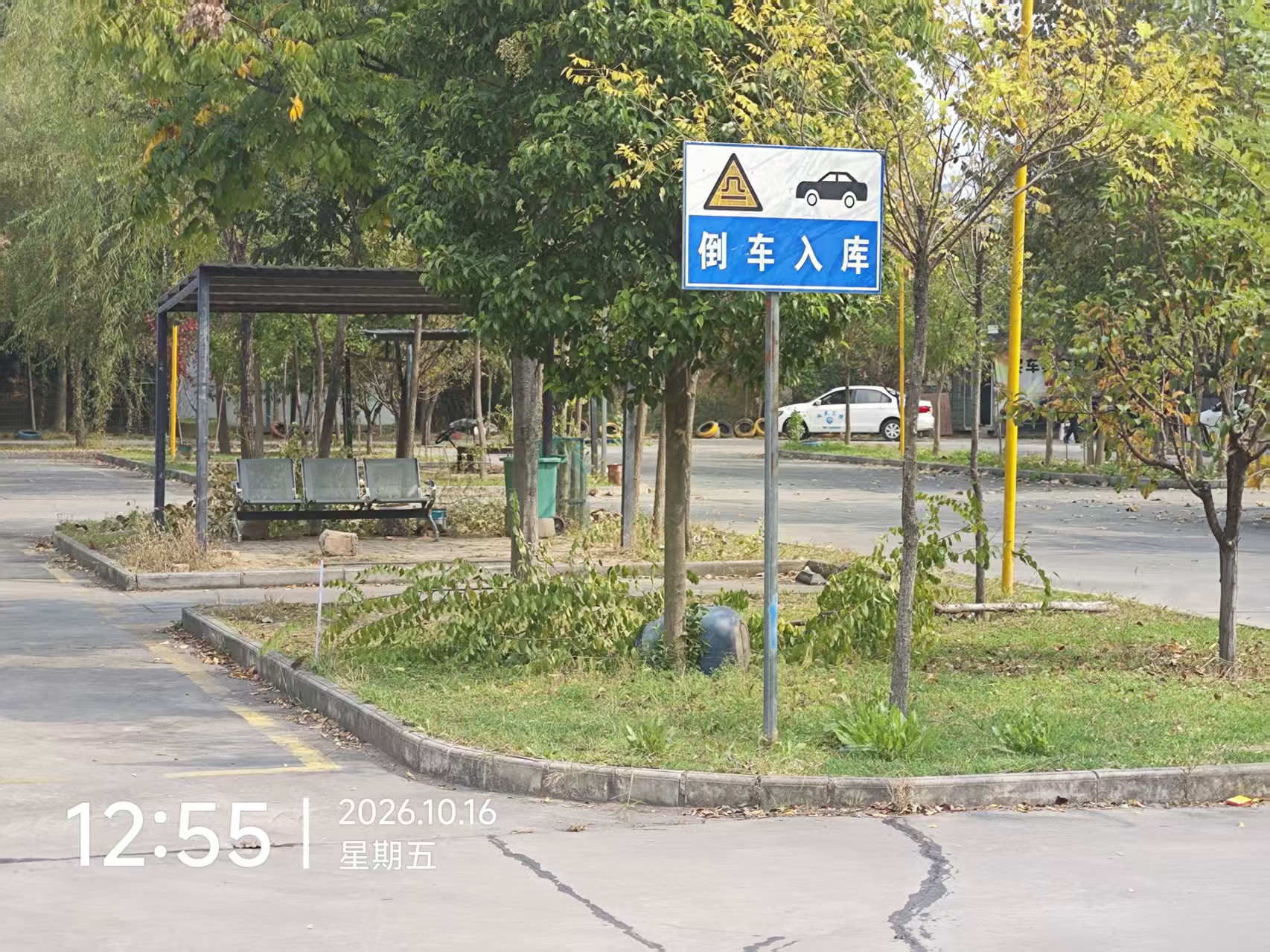 练车中